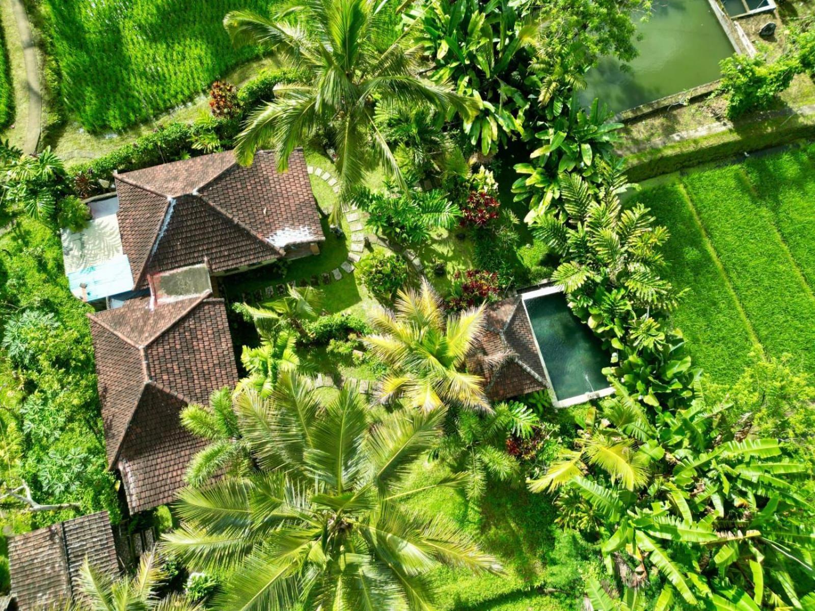 Dewa Jati Cottages Payangan Εξωτερικό φωτογραφία