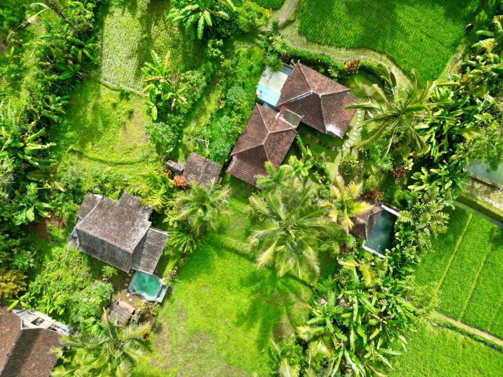 Dewa Jati Cottages Payangan Εξωτερικό φωτογραφία